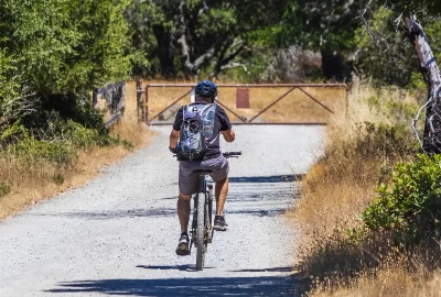 Top attractions and activities in Ventura