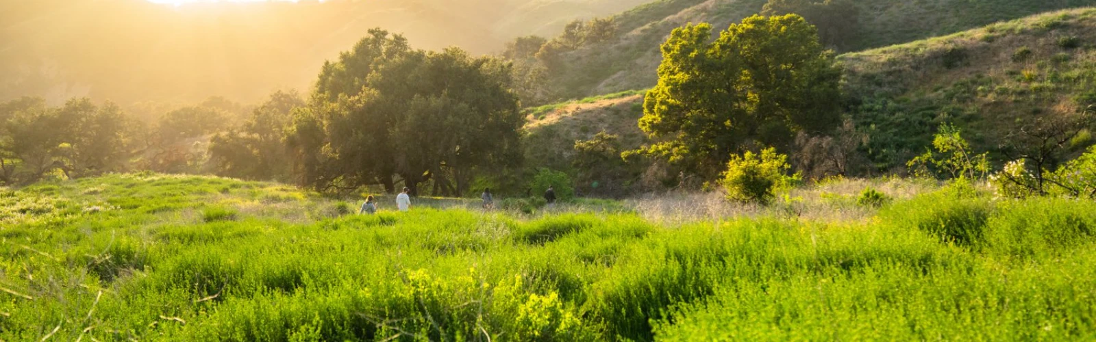 10 Best Hiking Trails in Ventura, California