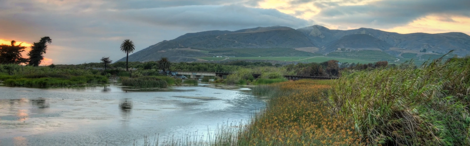 20 Best Things to Do in Ventura