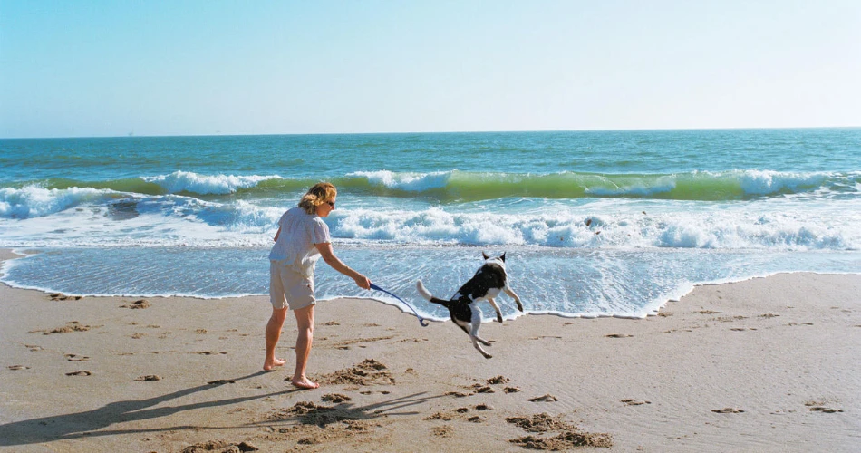 10 Best Beaches in Ventura CA