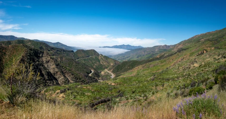 20 Mejores Cosas para Hacer en Ventura