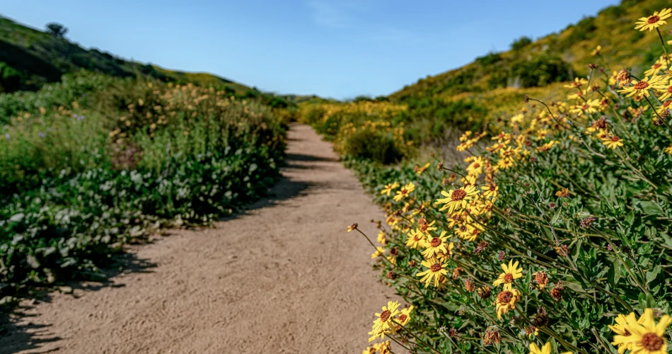 20 Mejores Cosas para Hacer en Ventura